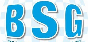 BSG - Best Safety Glass logo